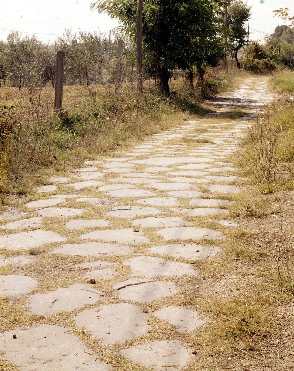 Via Flaminia, Rzym. autorstwa Roman Roman