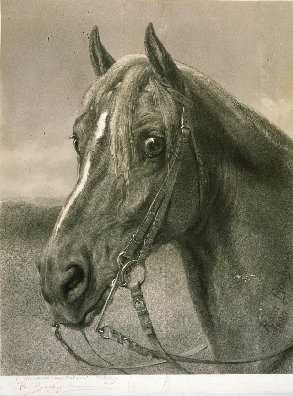 Do pułkownika Cody autorstwa Rosa Bonheur