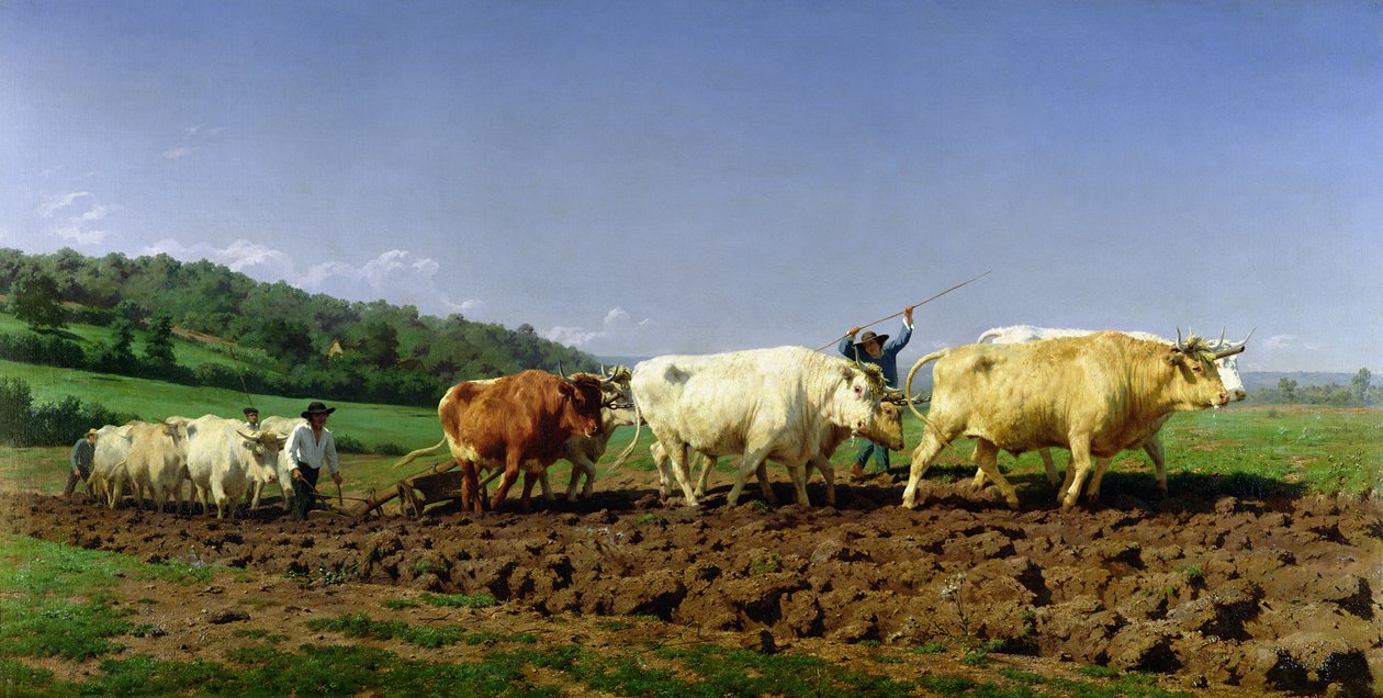 Orka w Nivernais, 1849 autorstwa Rosa Bonheur