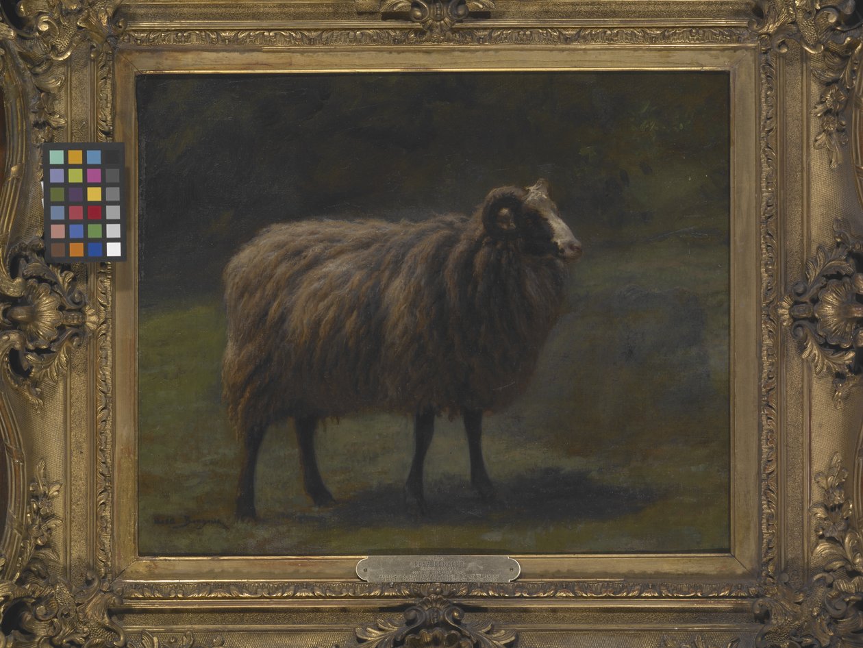 Baran (olej na płótnie) autorstwa Rosa Bonheur