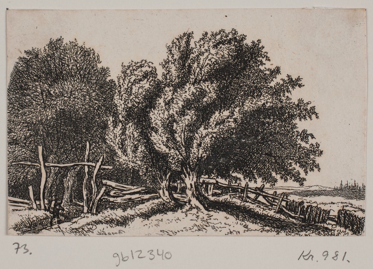 Krajobraz autorstwa Rosalie Holm