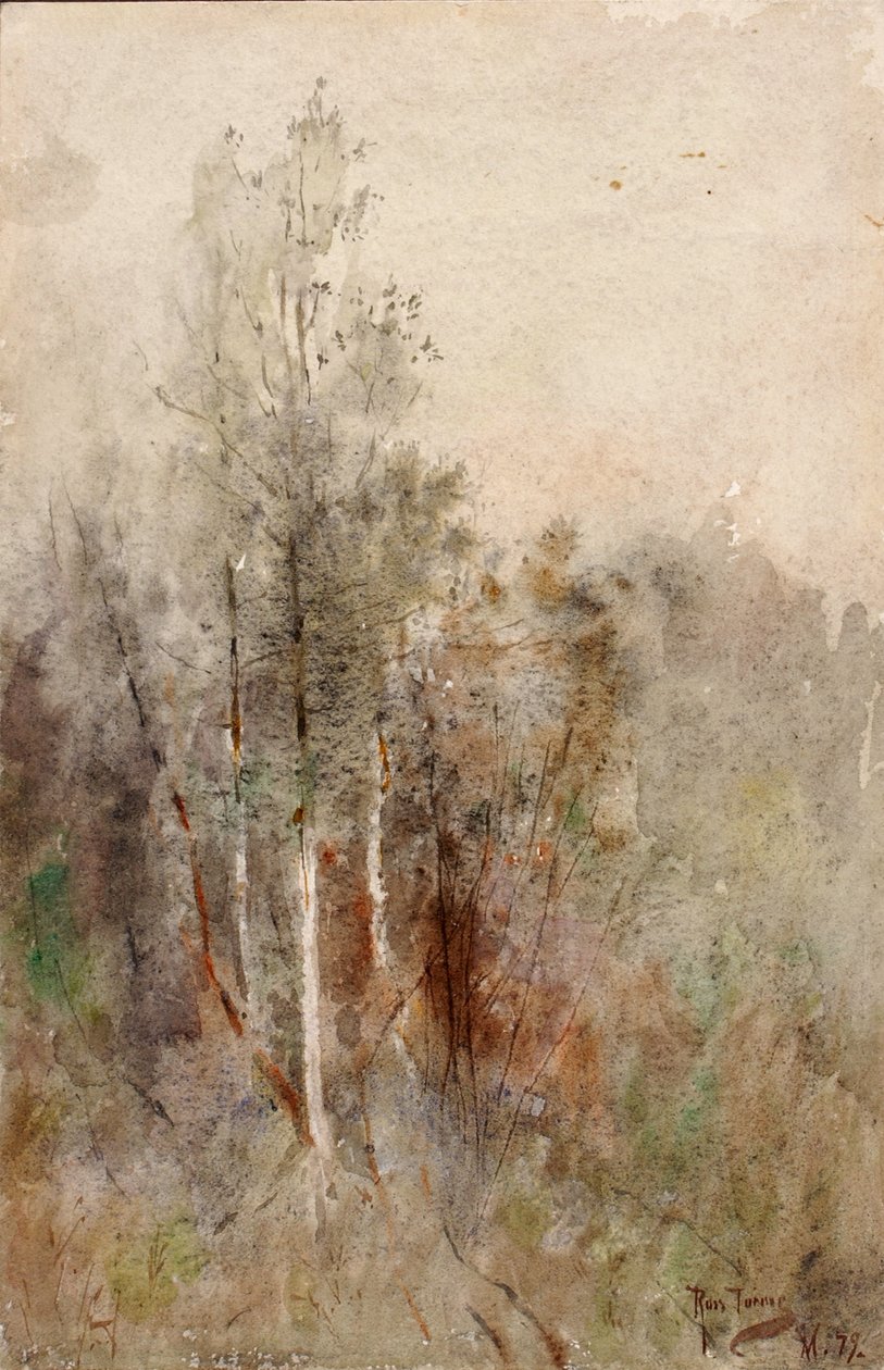 Studium drzewa, 1879. autorstwa Ross Turner