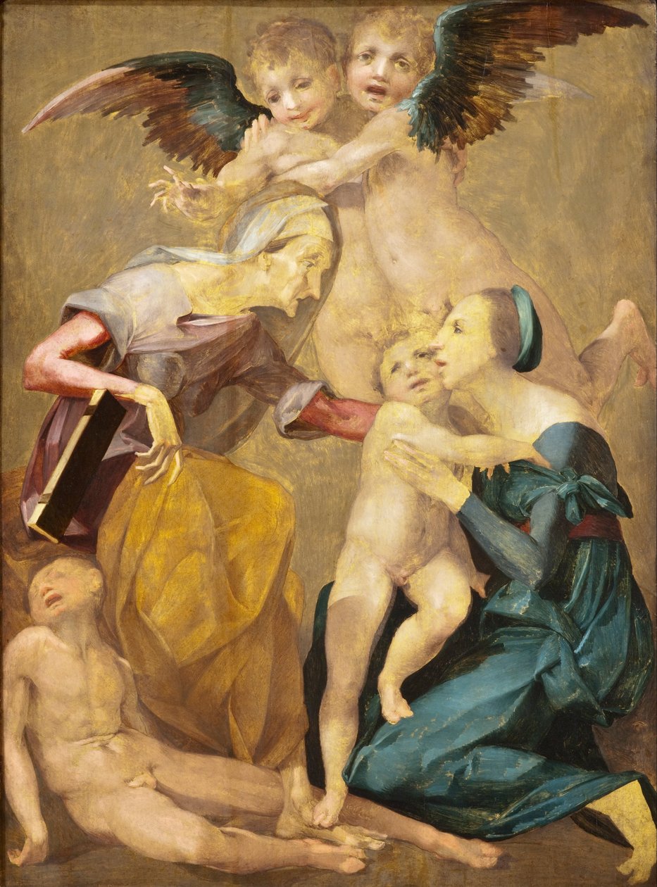 Alegoria zbawienia z Dziewicą i Dzieciątkiem, św. Elżbietą, młodym św. Janem Chrzcicielem... autorstwa Rosso Fiorentino