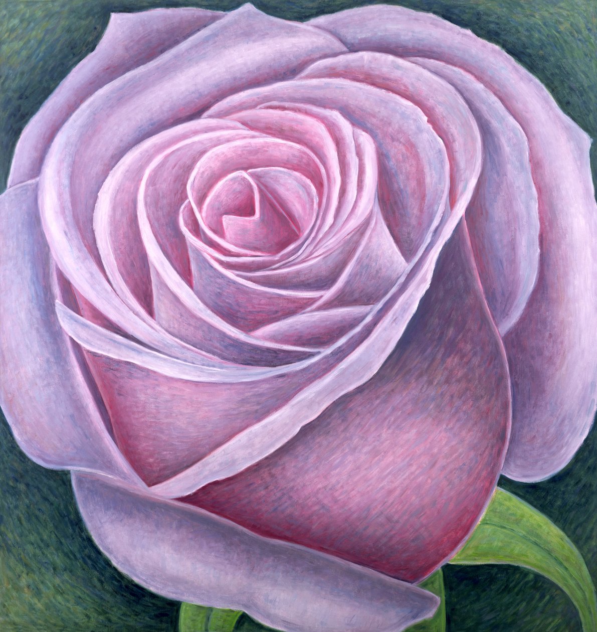 Duża Róża, 2003 autorstwa Ruth Addinall