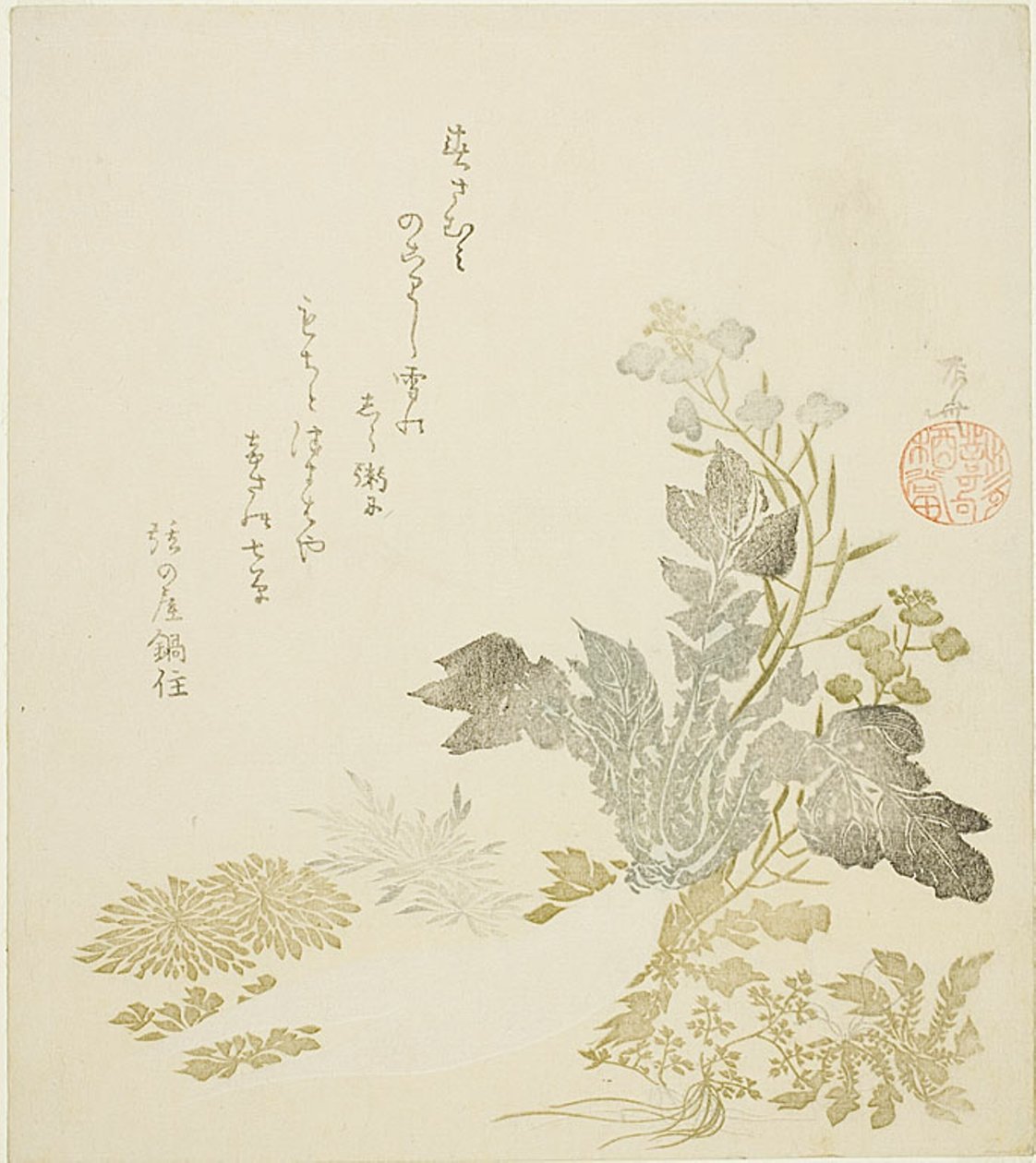 Olbrzymia Rzodkiewka (daikon), Chryzantemy i Paprocie autorstwa Ryuryukyo Shinsai