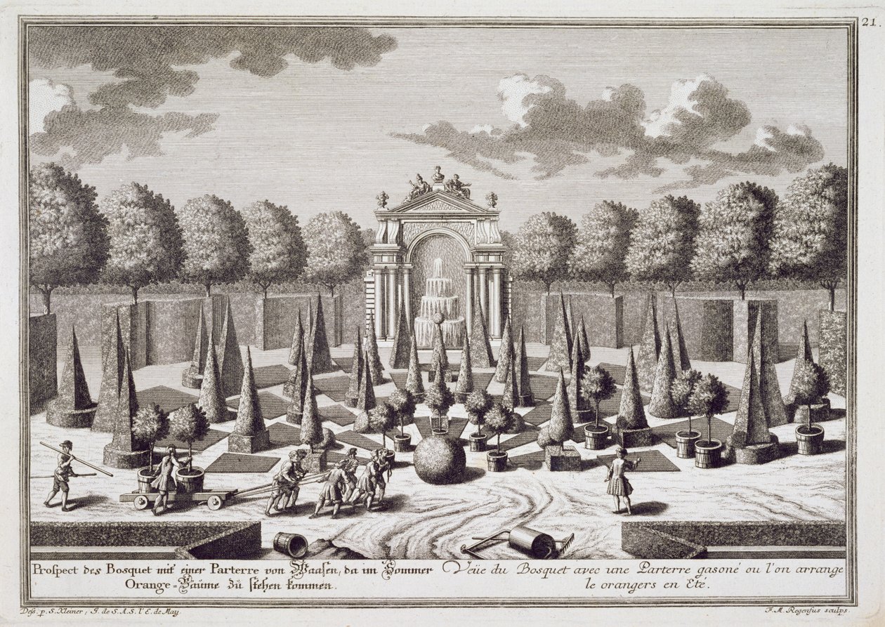 Parter z drzewkami pomarańczowymi w ogrodzie Pałacu Lichtensteinów w Wiedniu, rytowany przez Franza Michaela Regenfusa (ok. 1712-80), wydany ok. 1724-37 autorstwa Salomon Kleiner