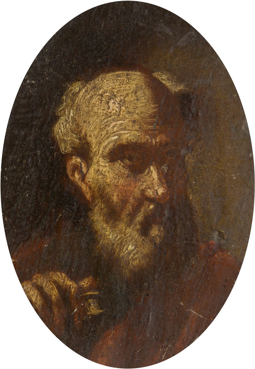Głowa starego człowieka autorstwa Salvator Rosa