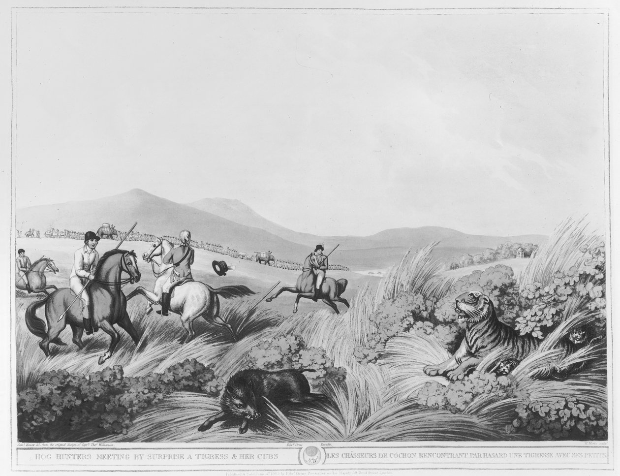 Hog Hunters Meeting, Surprise, Tigress and jej młode, grawerowane przez H.Merke (fl.1800-20) według oryginalnego projektu kapitana Thomasa Williamsona, wyd. Edwarda Orme (1774-c.1820) (bundw pho autorstwa Samuel Howett