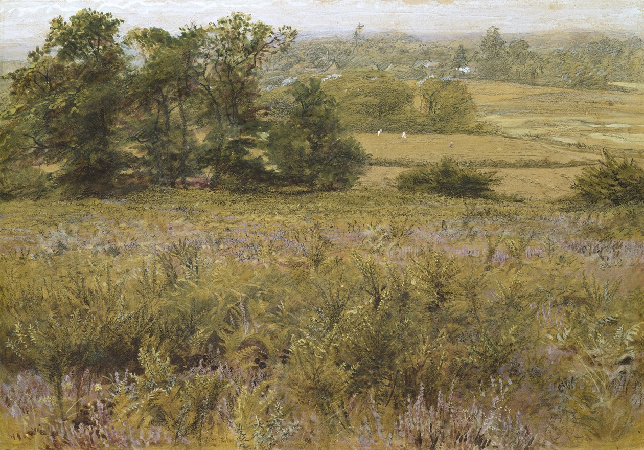 Furze талбай, 19-р зууны (усан будгийн) поли autorstwa Samuel Palmer