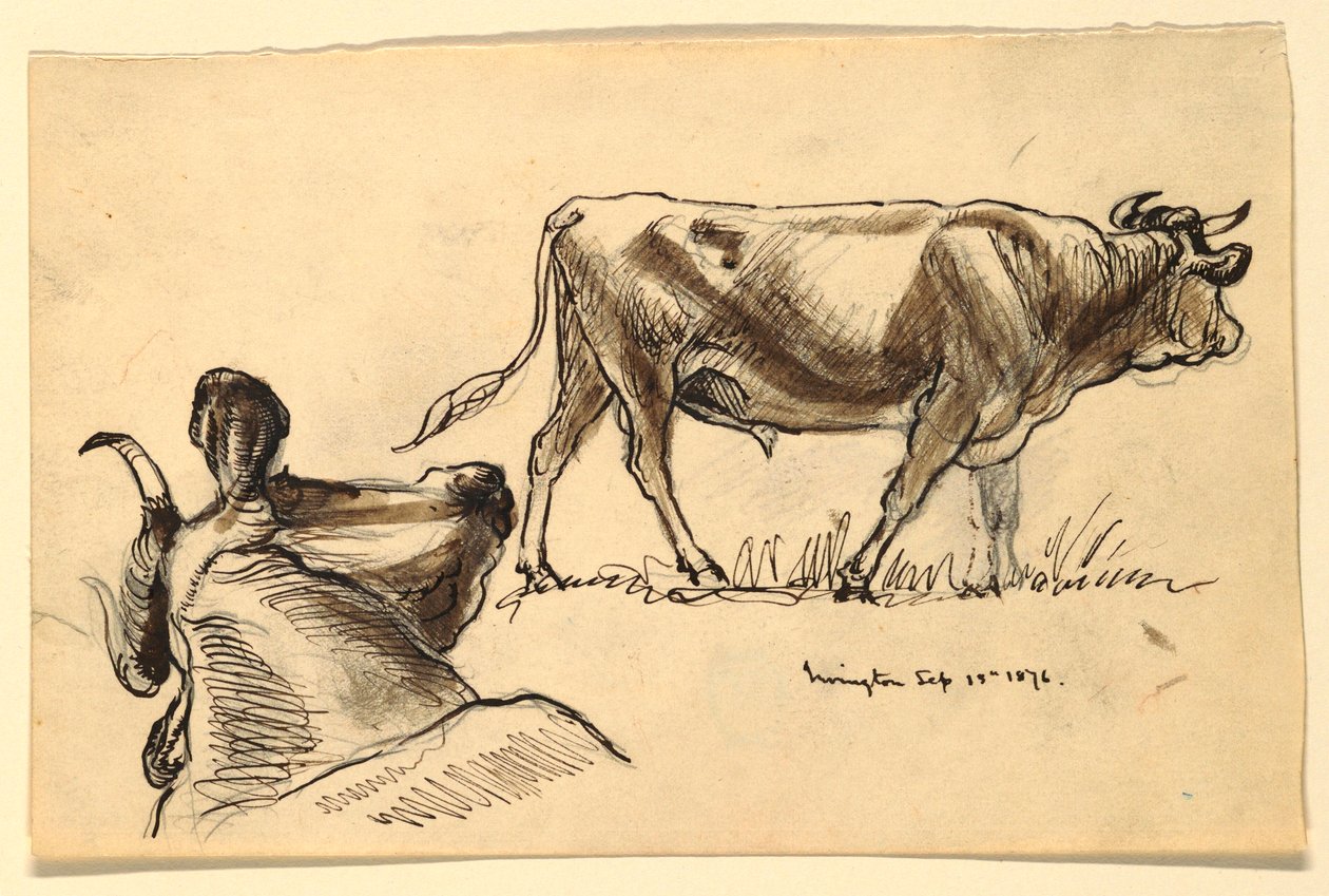 Rysunki, szkice. Bydło, Irvington, wrzesień 1876 r. autorstwa Samuel Colman