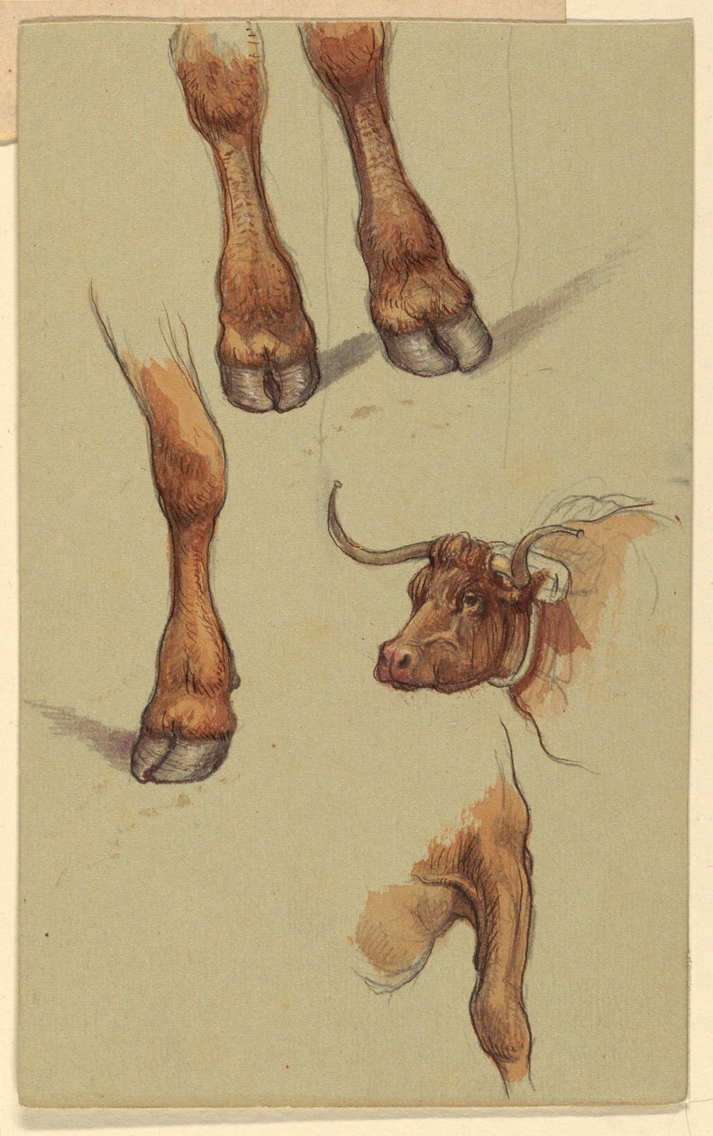 Rysunek, Szkice z Narragensett, Rhode Island, 1871 r. autorstwa Samuel Colman