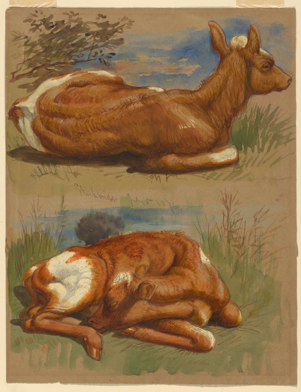 Badania cieląt, Stockbridge autorstwa Samuel Colman