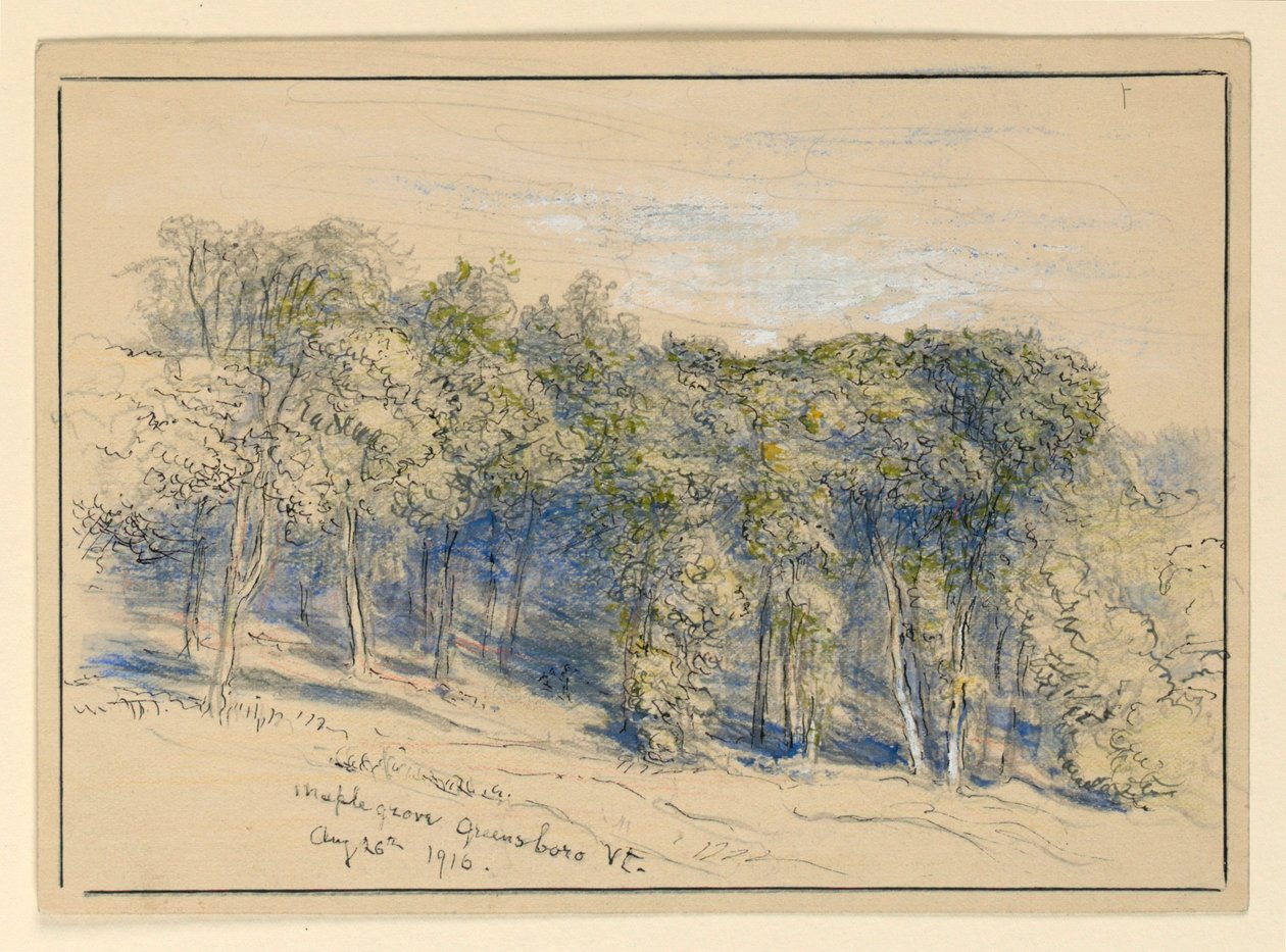 Studium Maple Grove, Greensboro, Vermont autorstwa Samuel Colman