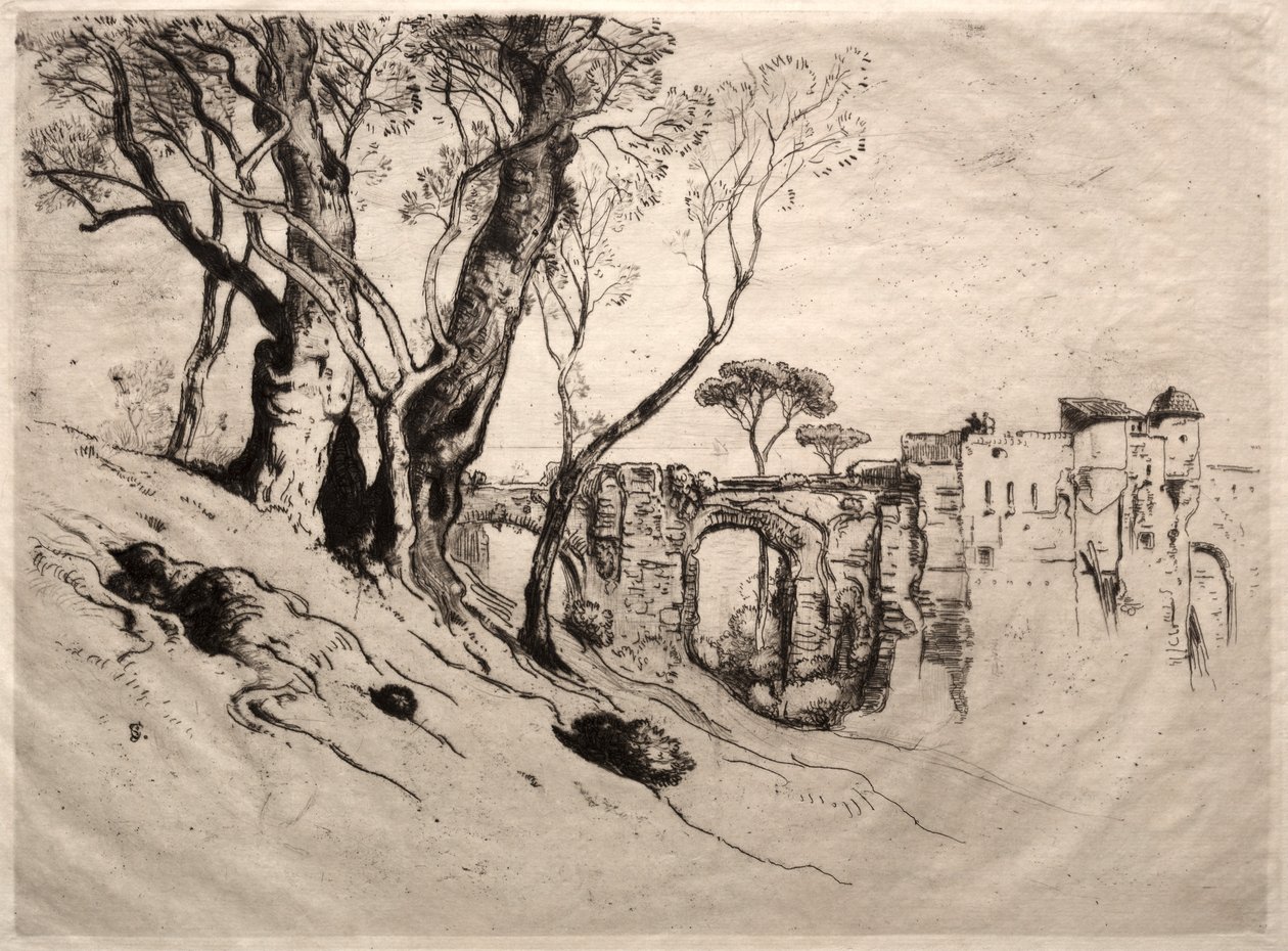 Drzewa oliwne na Riwierze autorstwa Samuel Colman