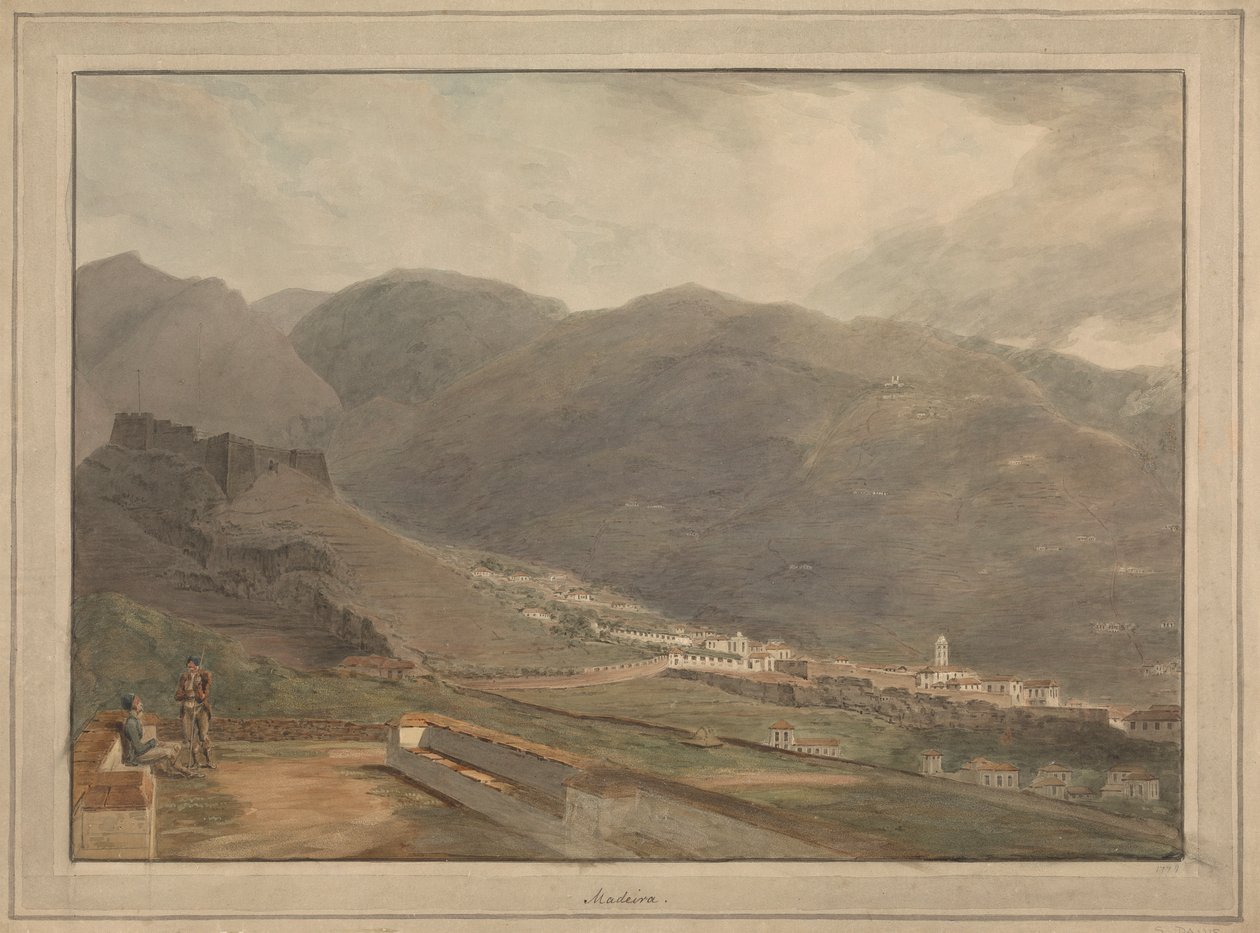Madera autorstwa Samuel Davis