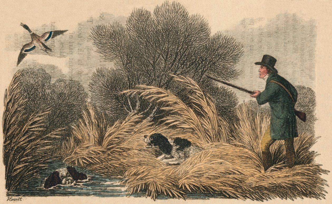 Strzelanie do kaczek, 1810. autorstwa Samuel Howitt