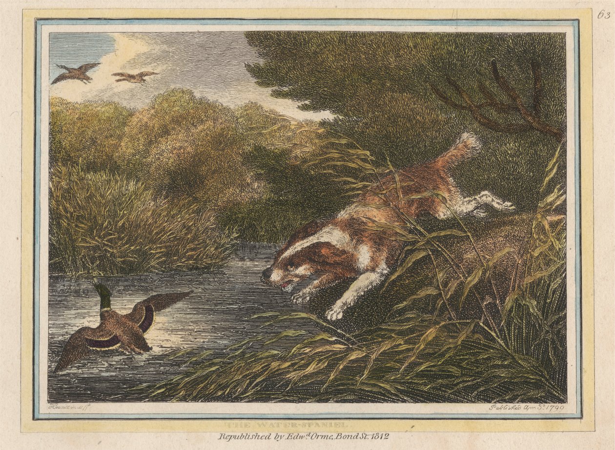Spaniel wodny autorstwa Samuel Howitt