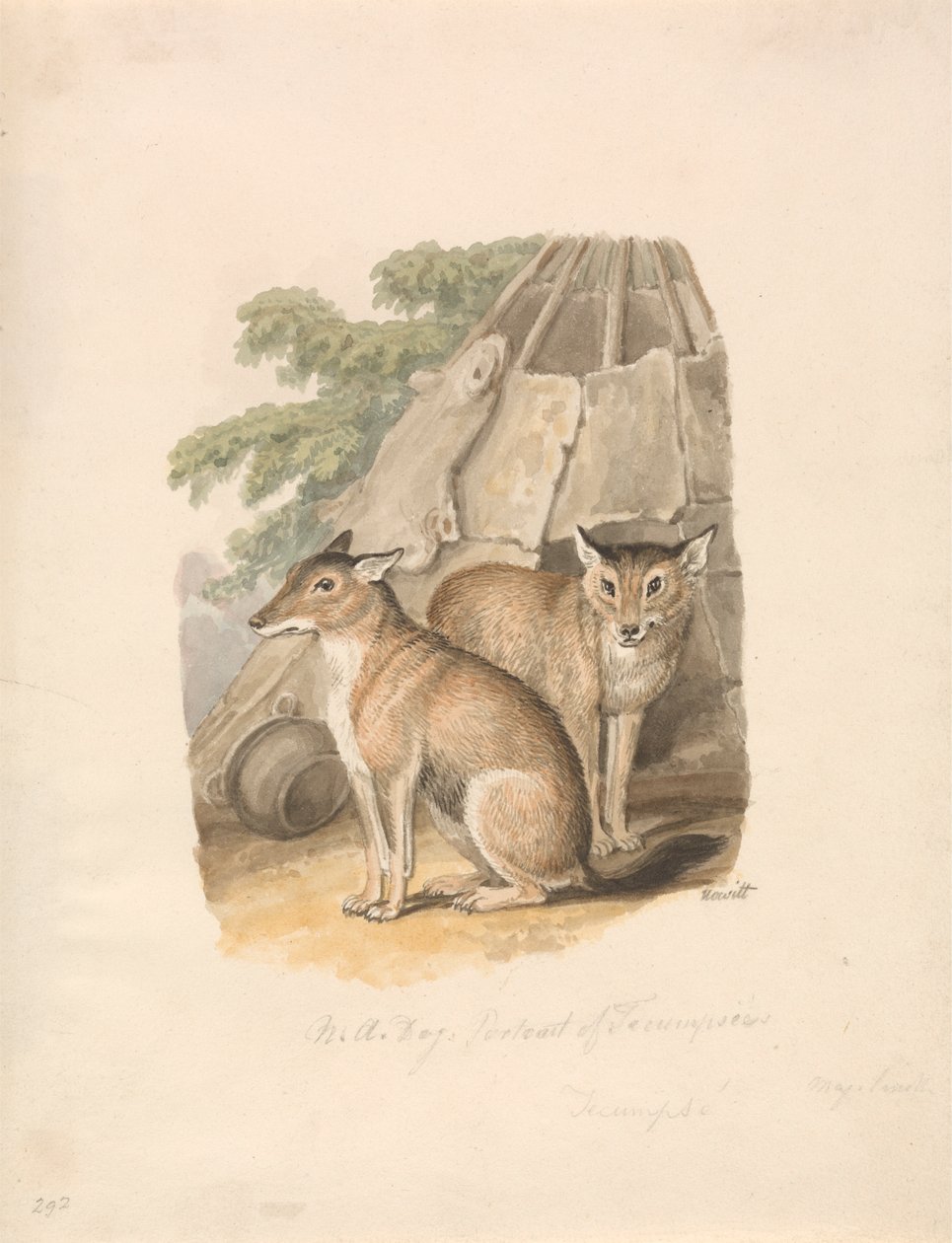 Dwa Husky autorstwa Samuel Howitt
