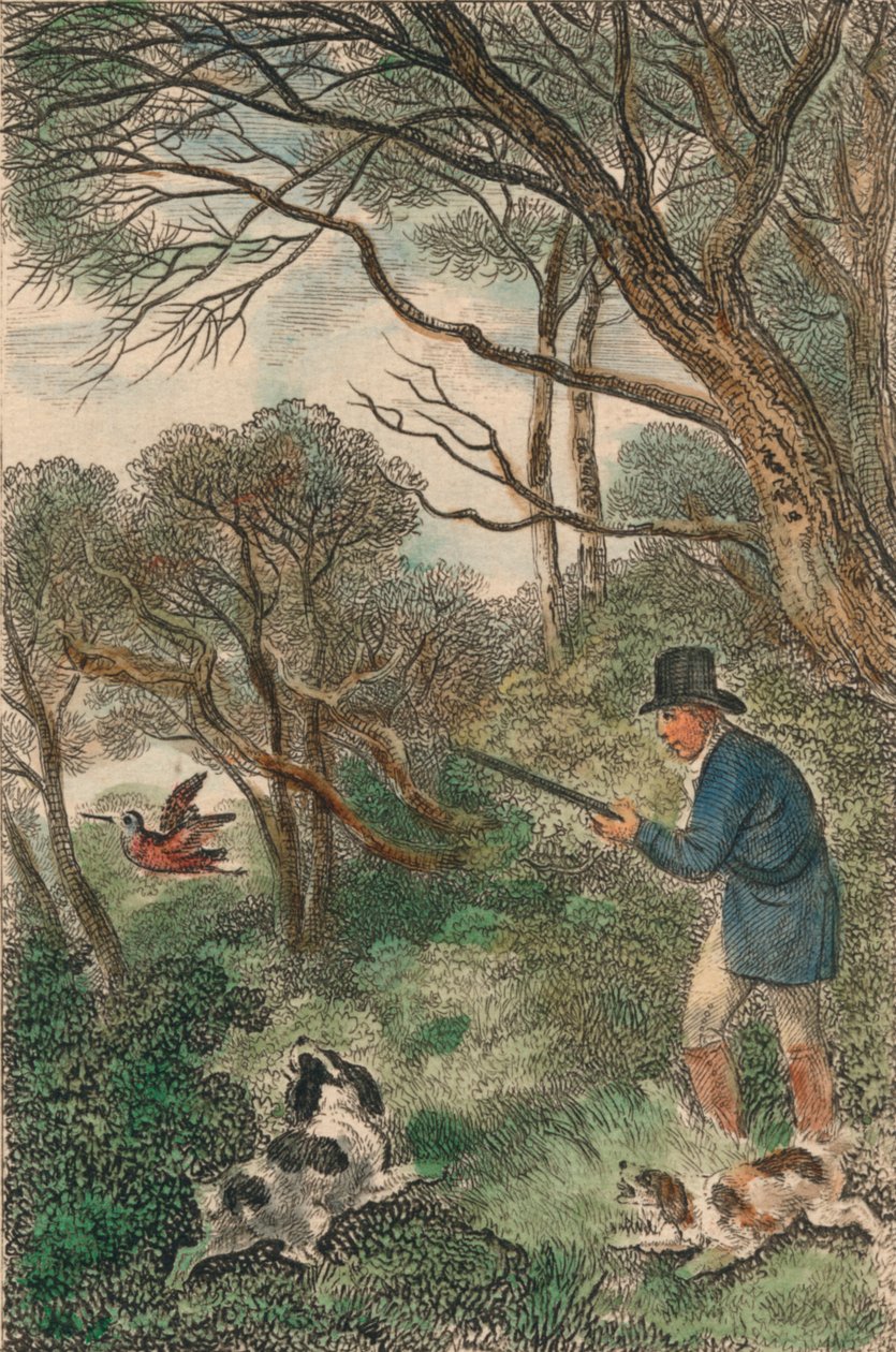 Strzelanie do słonek, 1819. autorstwa Samuel Howitt