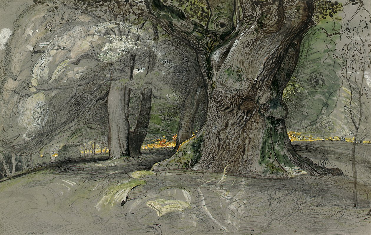 Dąb i buk, Park Lullingstone autorstwa Samuel Palmer