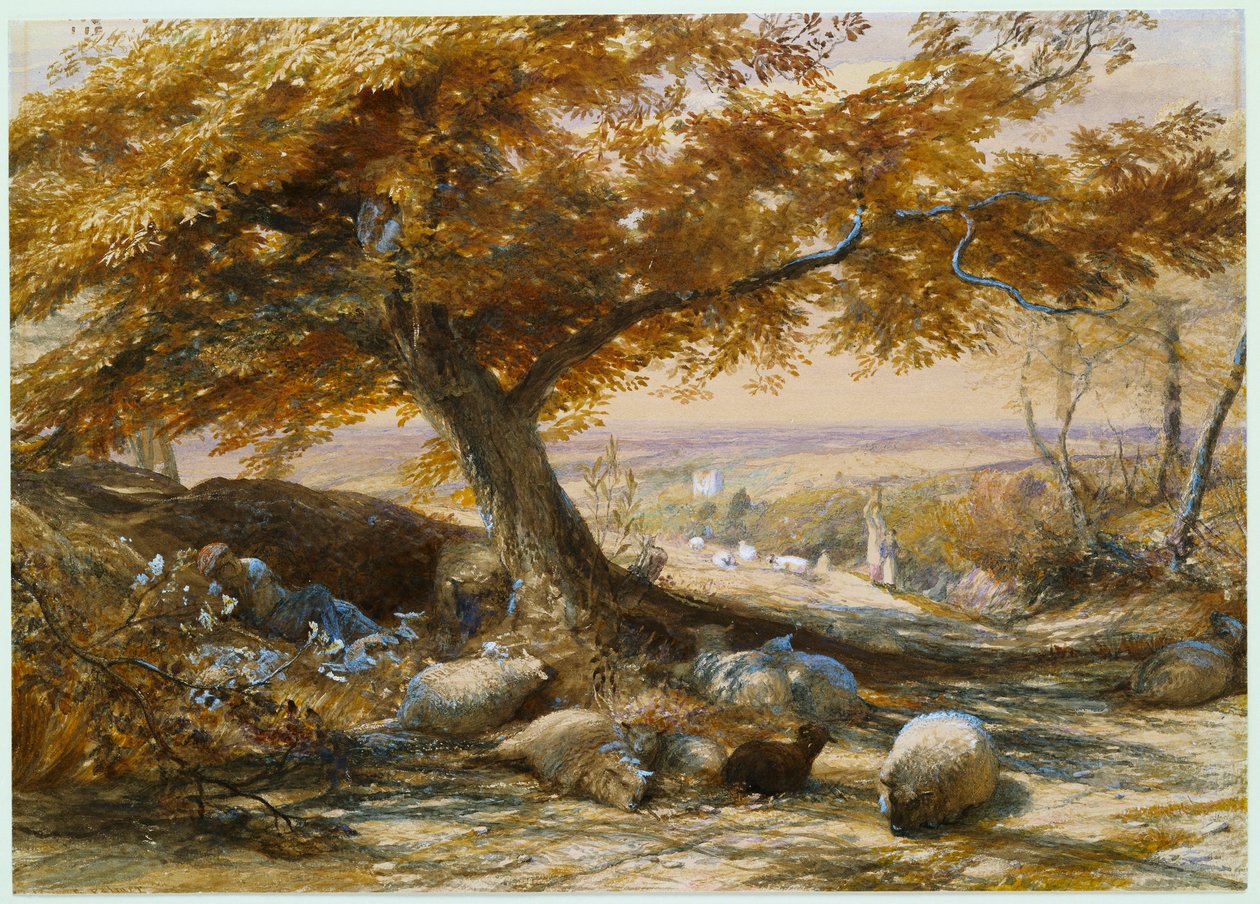 Owce w cieniu, ok. 1851 autorstwa Samuel Palmer