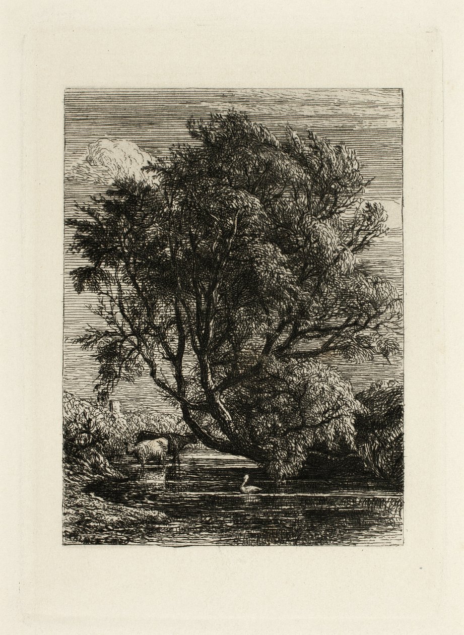 Wierzba autorstwa Samuel Palmer