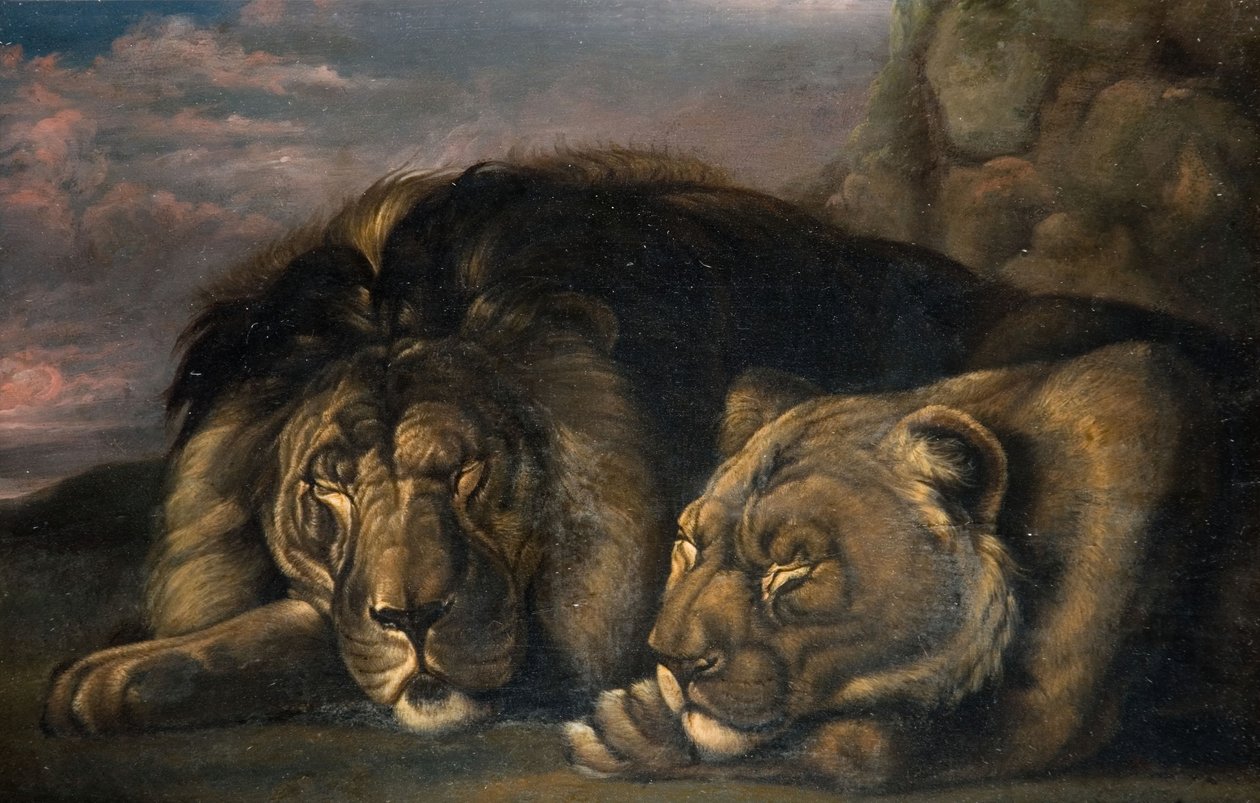 Śpiący lew i lwica 1823-1830. autorstwa Samuel Raven