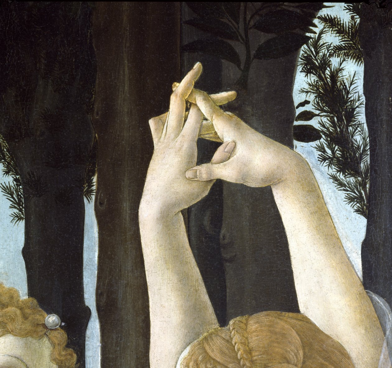 Primavera, ok. 1478, tempera na płycie, detal z 558 autorstwa Sandro Botticelli