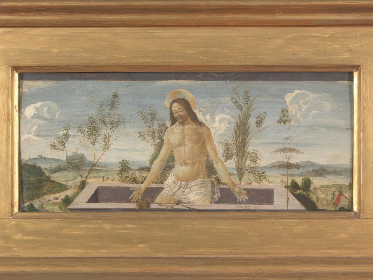 Chrystus w grobie autorstwa Sandro Botticelli
