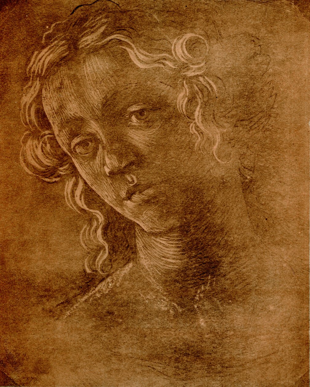 Głowa kobiety autorstwa Sandro Botticelli