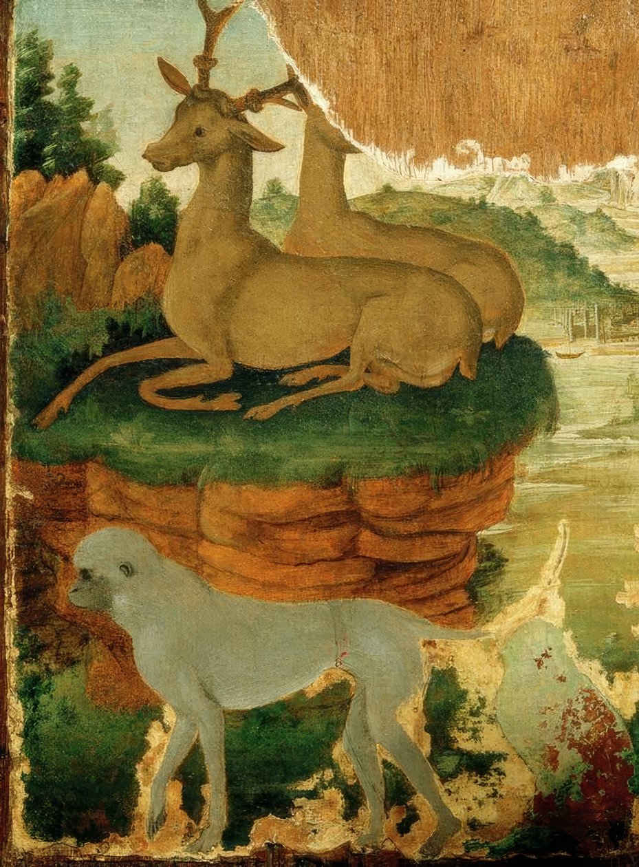 Krajobraz z sarną i małpami autorstwa Sandro Botticelli
