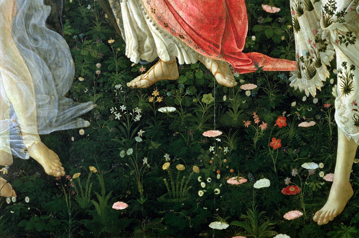 Primavera: detal kwiatów tempera na panelu autorstwa Sandro Botticelli