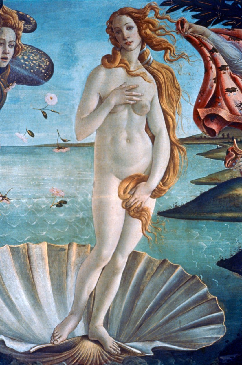 Szczegół narodzin Wenus, ok. 1485 autorstwa Sandro Botticelli
