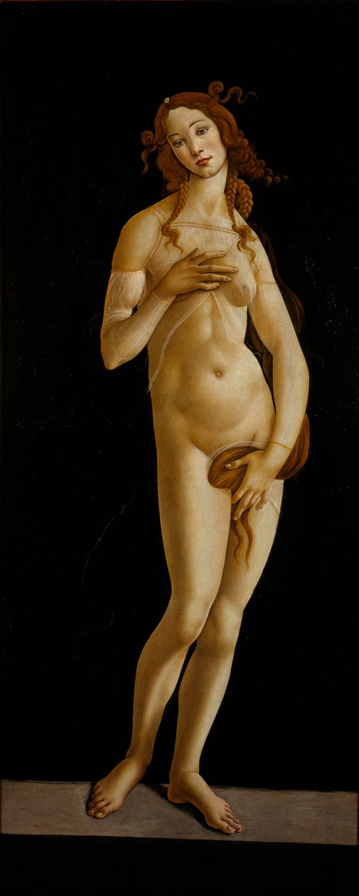 Wenus Pudica, ok. 1485-1490. autorstwa Sandro Botticelli