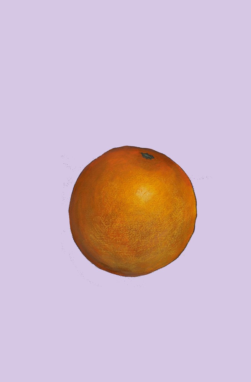Orange, 2007 (olej i pastel na papierze) autorstwa Sarah Thompson Engels