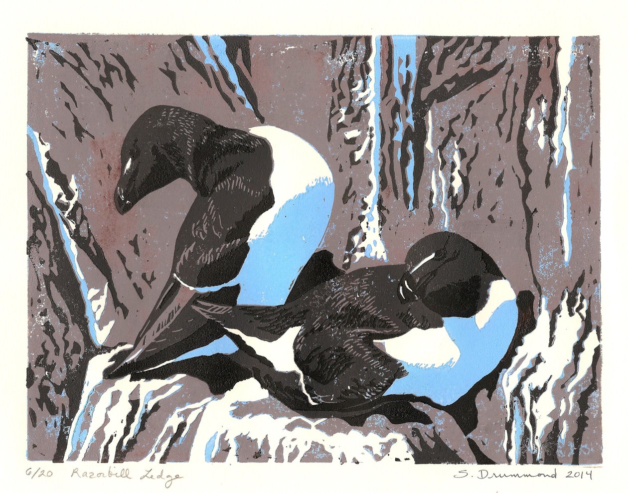 Razorbill Ledge, 2014 (linoryt) autorstwa Sarah Drummond