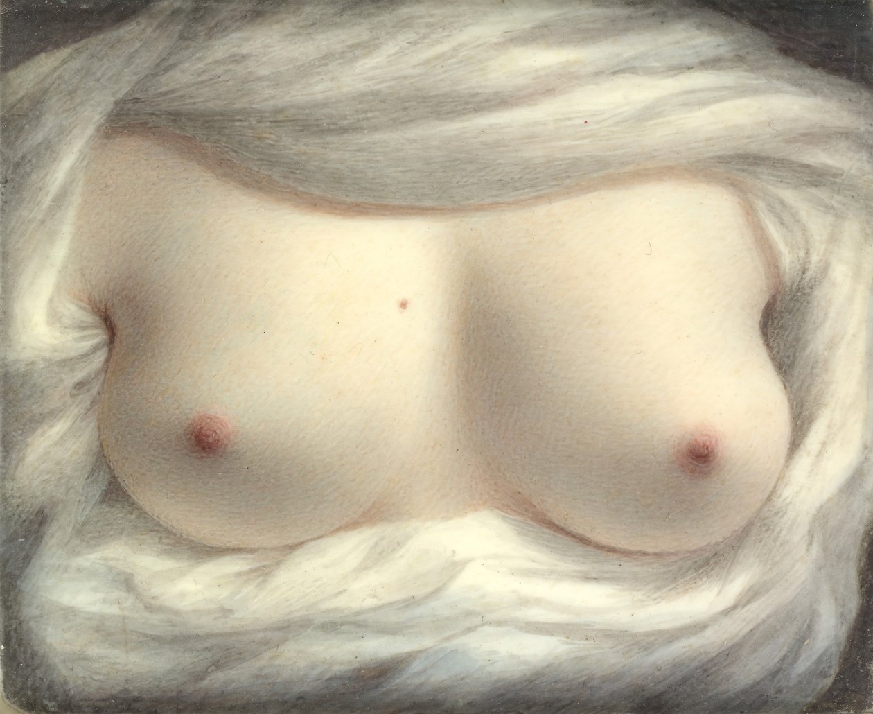 Piękno objawione, 1828. autorstwa Sarah Goodridge
