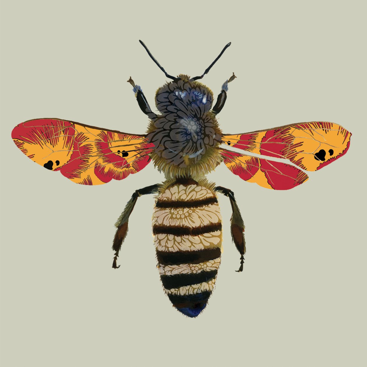 Pszczoła miodna, 2010 (cyfrowa) autorstwa Sarah Hough