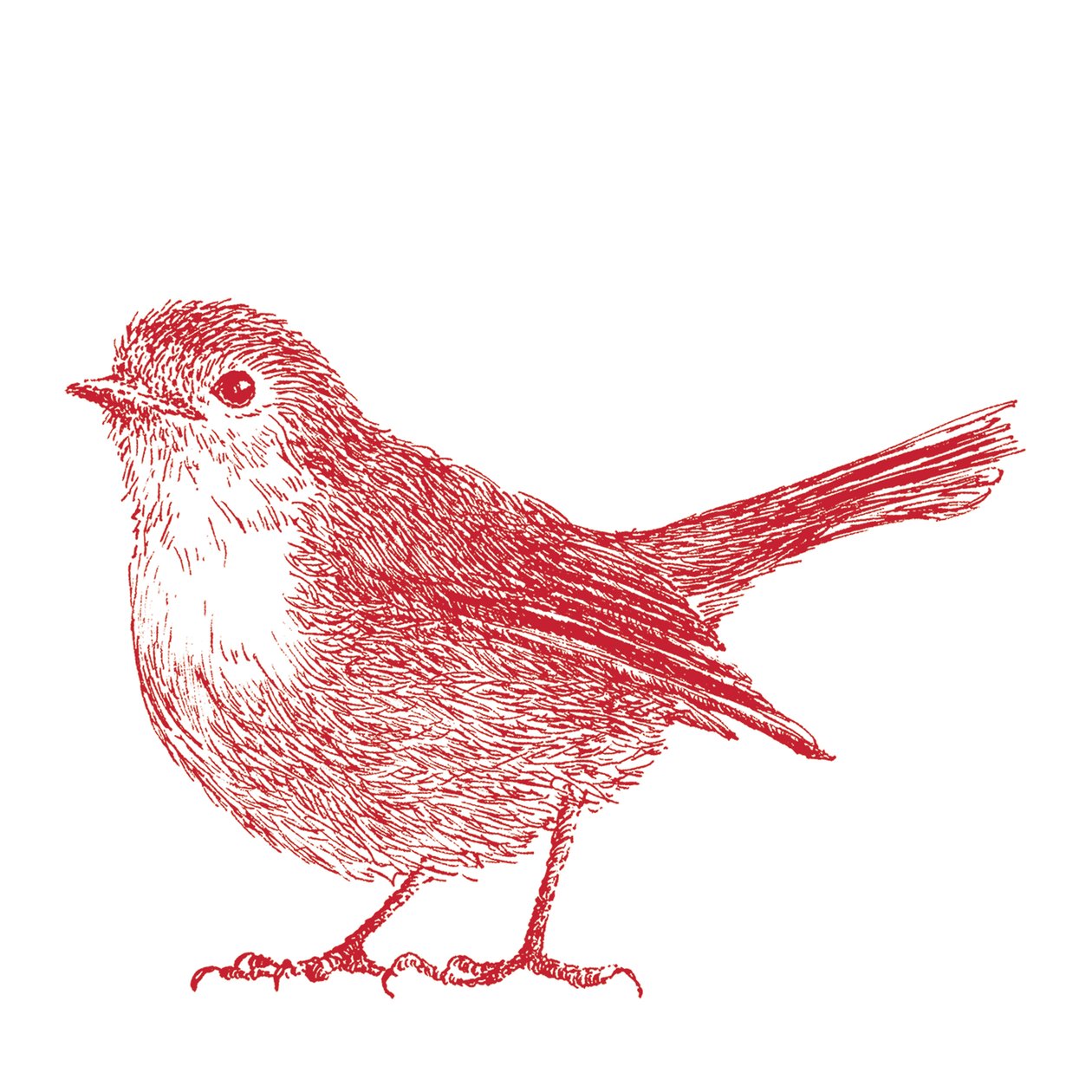Robin, 2017 autorstwa Sarah Hough