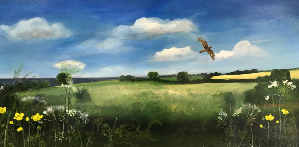 Buzzard, 2022 (óleo a bordo) polonês autorstwa Sarah Thompson Engels