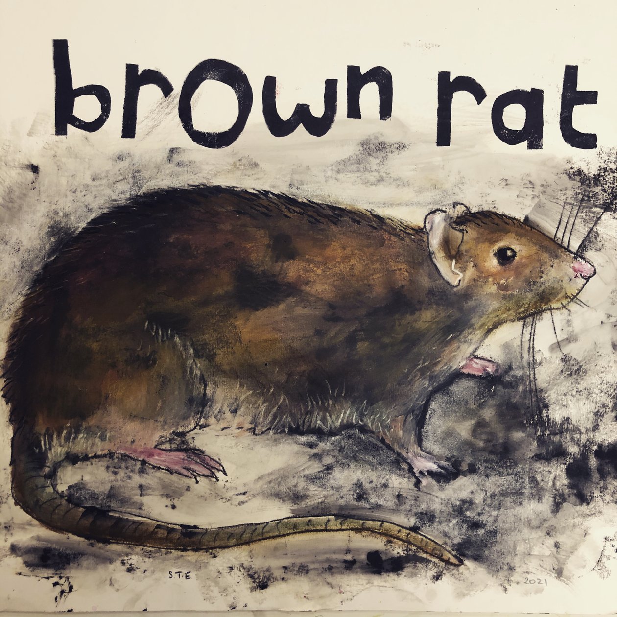 Szczur wędrowny, 2021, (atrament na papierze) autorstwa Sarah Thompson Engels