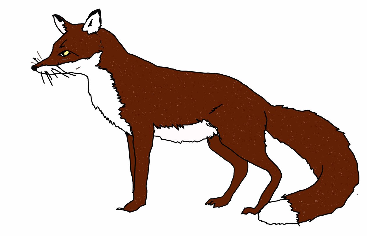 Fox, 2018, (rysunek cyfrowy) autorstwa Sarah Thompson Engels
