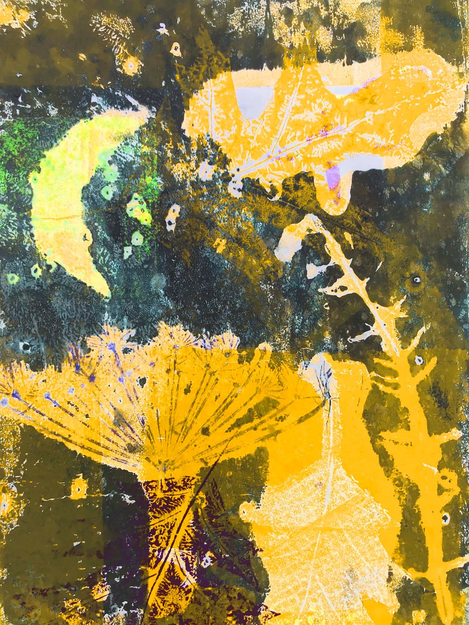 „żółty księżyc” 2019 (monodruk) autorstwa Sarah Thompson Engels