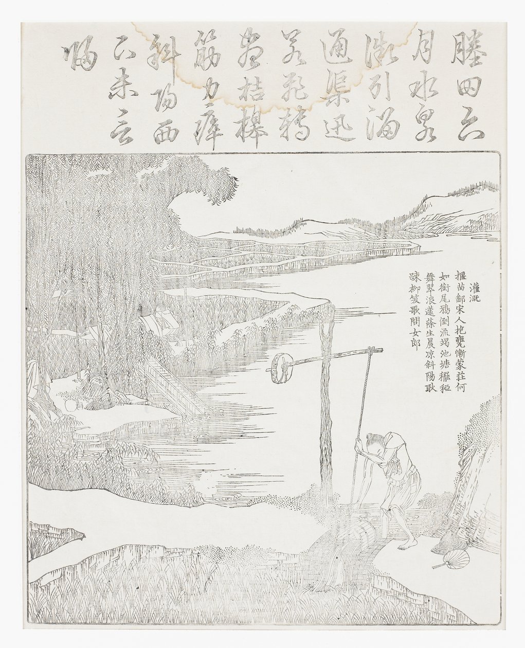Nawadnianie ryżu autorstwa School Chinese