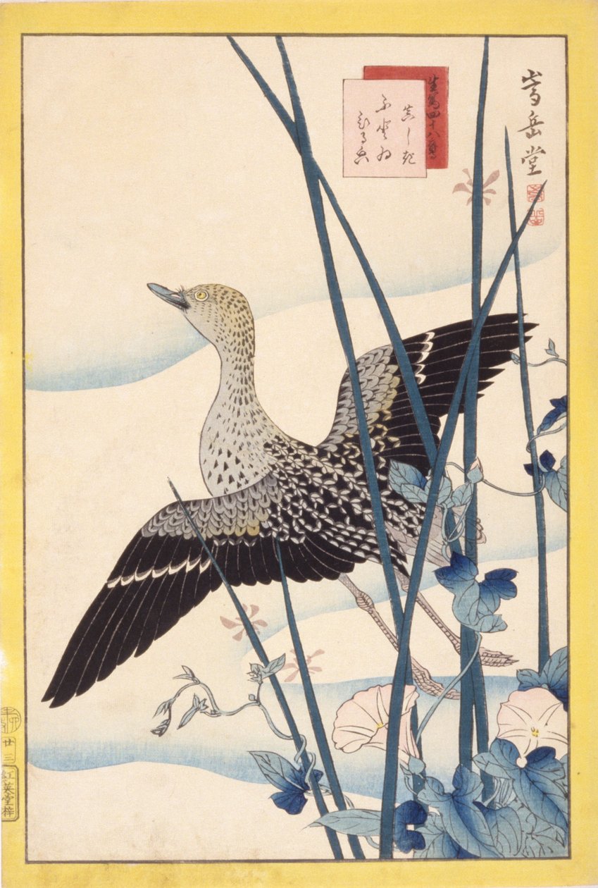 Dzika kaczka autorstwa School Japanese