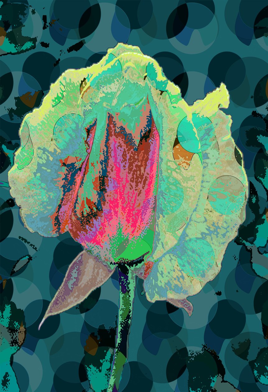 Herbaciana Róża 4 (cyfrowa) autorstwa Scott J. Davis