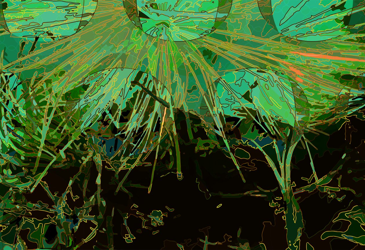 Karczoch_abst_horz2 (cyfrowy) autorstwa Scott J. Davis