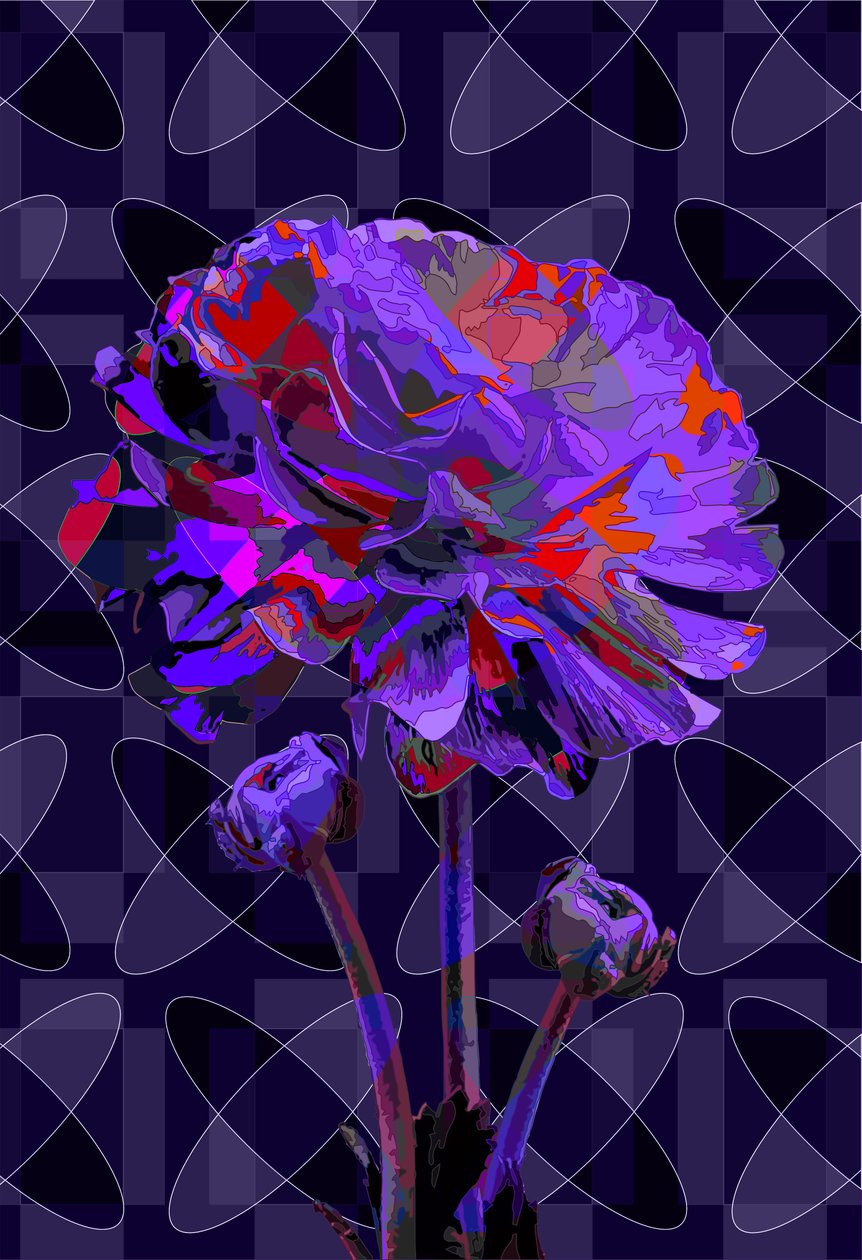 Goździk2, 2019 autorstwa Scott J. Davis