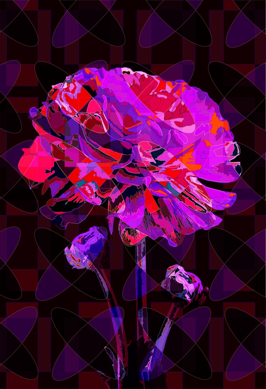 Goździk4, 2019 autorstwa Scott J. Davis