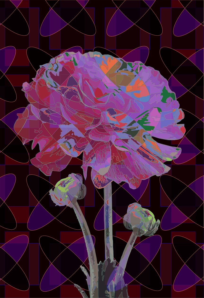 Goździk, 2019 autorstwa Scott J. Davis